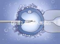【科普】那些令人羨慕的優質胚胎有什么條件？