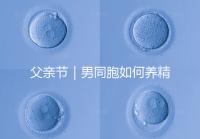 父親節｜男同胞如何養精蓄銳，一發即中？