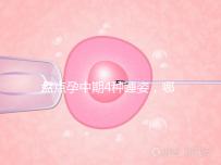 盤點孕中期4種睡姿，哪一種正確又健康？