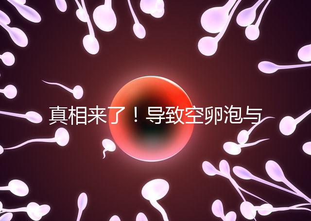 真相來了！導致空卵泡與多囊卵巢有關，區別在于以下四點，多研究