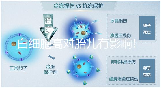 白細(xì)胞高對(duì)胎兒有影響!處于孕期的準(zhǔn)媽媽們要多加留意