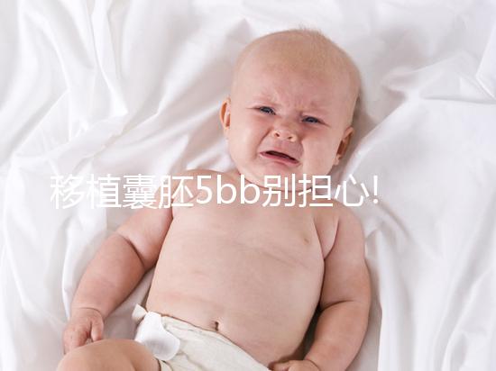 移植囊胚5bb別擔(dān)心!希望并非來(lái)自成功率,質(zhì)量奠定基礎(chǔ)