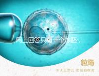 網(wǎng)上回答只有一個(gè)凍胚,不建議養(yǎng)囊試管夫婦快速生活