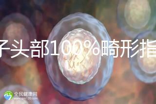精子頭部100%畸形指數1.69，試管這條路還能通