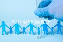 細(xì)看！維哈維培精素是什么，內(nèi)含詳細(xì)說明書和成分介紹