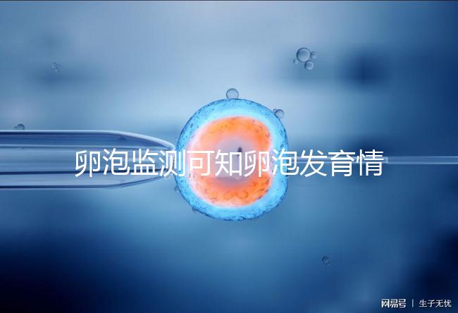 卵泡監(jiān)測可知卵泡發(fā)育情況預(yù)測排卵期來提高受孕率