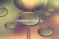 卵泡破裂有6大癥狀，陰道出血僅為前兆表現之一！