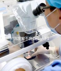 卵泡發育不良直徑小于18mm，5種方法提高卵子質量