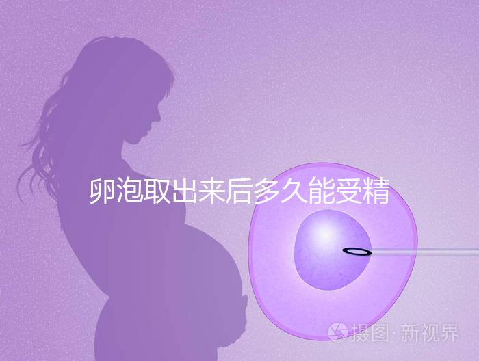 卵泡取出來后多久能受精做試管來瞧，想移植請算好時間