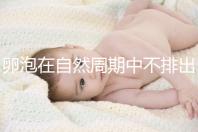 卵泡在自然周期中不排出可以移植快速get嗎？取卵好看嗎？