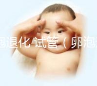 卵泡退化 試管（卵泡退化 試管能成功嗎）