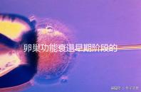 卵巢功能衰退早期階段的妊娠率釋疑，供卵試管嬰兒可>50%