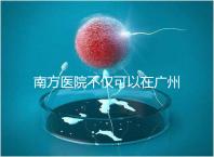 南方醫院不僅可以在廣州做b超，2024年黃浦區收費最高...