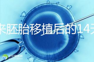 原來胚胎移植后的14天，這些信號預示著床成功