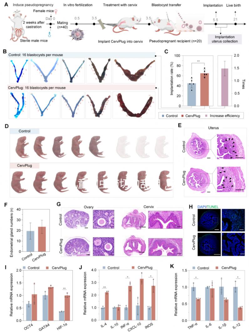 兒童蛔蟲(chóng)藥切勿亂用,這樣吃才是正確的打開(kāi)方式