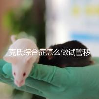 克氏綜合癥怎么做試管移植看這，促排取卵一個流程不能少