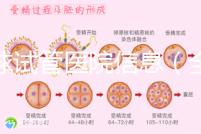 全球試管醫(yī)院信息(全球試管醫(yī)院排名)
