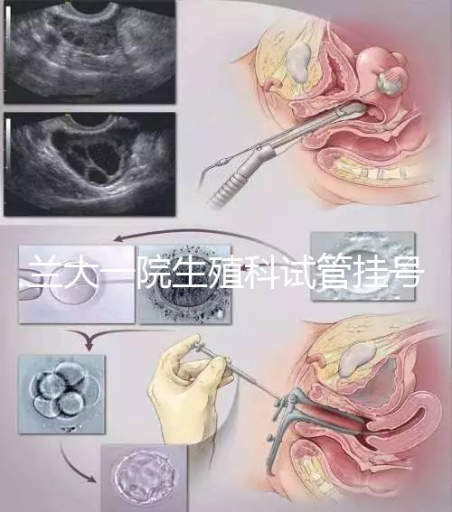 蘭大一院生殖科試管掛號(hào)多少錢別還不造,預(yù)約攻略來了