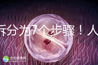 共拆分為7個(gè)步驟！人工授精自然周期流程全解