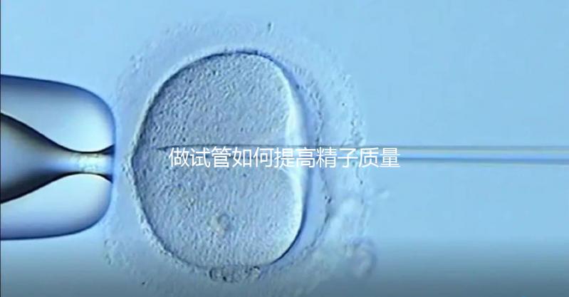 做試管如何提高精子質(zhì)量？五星推薦4個(gè)簡單小運(yùn)動(dòng)