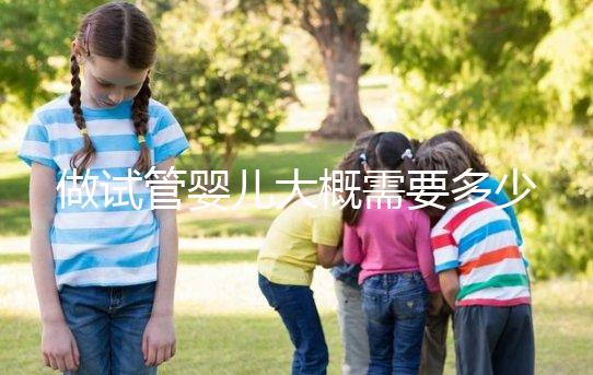 做試管嬰兒大概需要多少錢（現在做試管嬰兒大概需要多少錢）