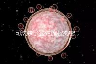 司法親子鑒定流程揭密，附準(zhǔn)備材料請一并參考