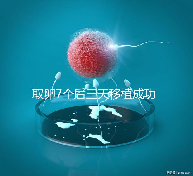 取卵7個(gè)后三天移植成功率真不低,關(guān)鍵要滿足這5大條件