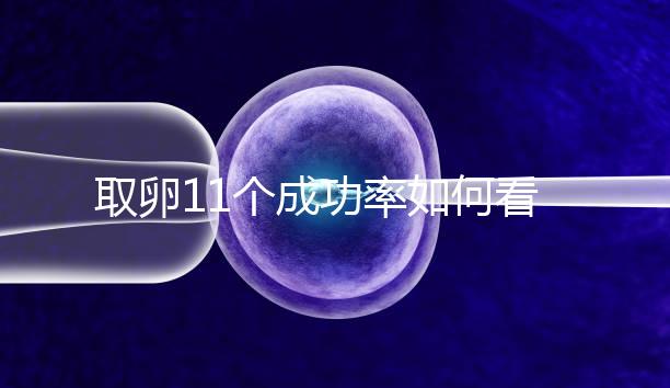 取卵11個成功率如何看胚胎配成數,只受精兩個要找找原因