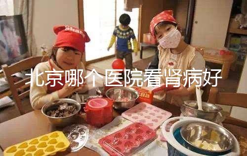 北京哪個醫院看腎病好