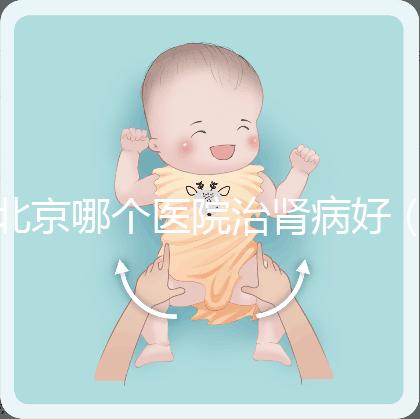 北京哪個醫院治腎病好（北京哪個醫院治腎病好一些）