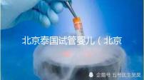 北京泰國(guó)試管嬰兒(北京泰國(guó)試管嬰兒公司)