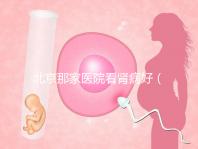 北京那家醫院看腎病好(北京腎病十大醫院排名)