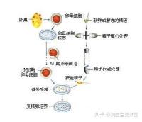 北京 腎病(北京腎病醫院排名第一)