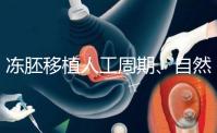 凍胚移植人工周期、自然周期怎么選？哪個成功率高？