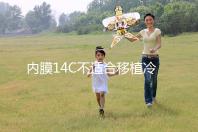 內膜14C不適合移植冷凍胚胎要注意,不易懷孕請暫緩手術