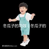 冬瓜子的功效(冬瓜子的功能與主治)