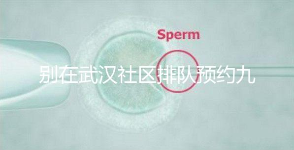 別在武漢社區(qū)排隊預(yù)約九價hpv疫苗了,在官方微信上也能搞定