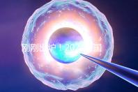 剛剛出爐！2024泰國試管嬰兒醫院最新排行榜