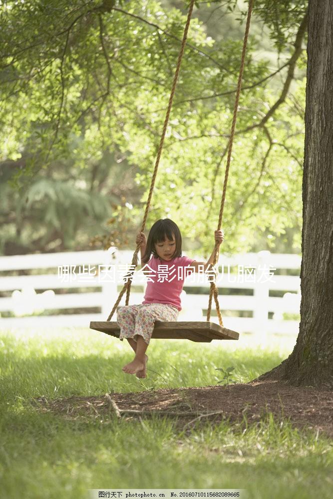 哪些因素會影響胎兒腦發育呢？聽聽孫麗洲教授怎么說