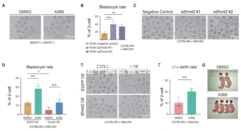 哪家是中國最著名的不孕不育醫(yī)院,包括正規(guī)機(jī)構(gòu)的排名