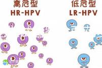 合肥做試管嬰兒要花多少錢?進周期前這些注意事項都來看看