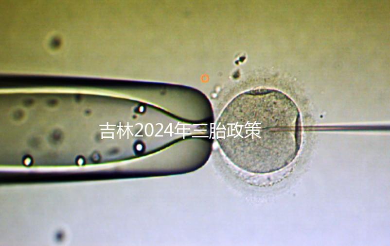 吉林2024年三胎政策最新消息分析，二道、綠園三孩規定出爐