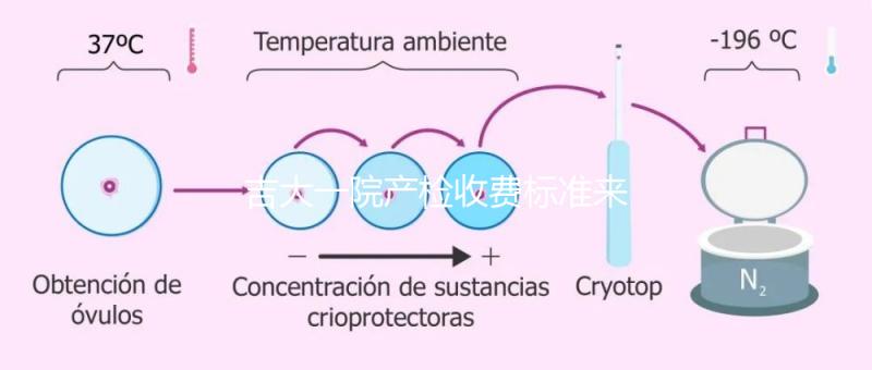 吉大一院產(chǎn)檢收費標(biāo)準來了！免費項目和報銷比例一文說明