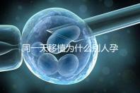 同一天移植為什么別人孕囊大答案公布，進(jìn)周前都看看