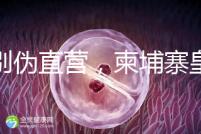 告別偽直營(yíng),柬埔寨皇家生殖遺傳醫(yī)院RFG中國(guó)辦事處指南