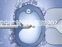 咸寧試管嬰兒醫(yī)院2024年成功率排名公開,哪家好一目了然