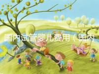 國內試管嬰兒費用(國內試管嬰兒費用多少)