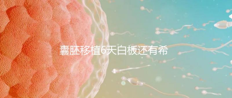 囊胚移植6天白板還有希望嗎？別沮喪該來的總是會(huì)來的