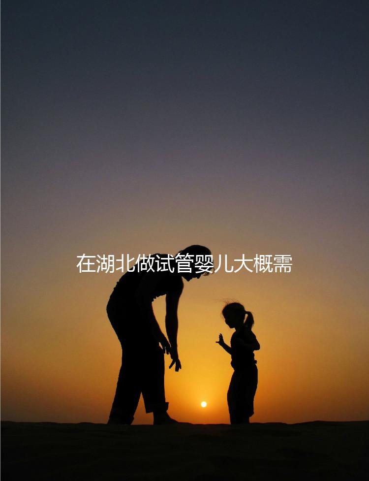 在湖北做試管嬰兒大概需要準備多少費用？詳細費用解析