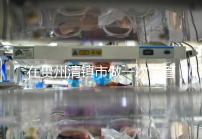 在貴州清鎮市做一次試管嬰兒要花多少錢？